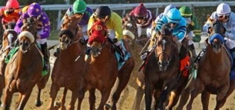 off track betting colorado